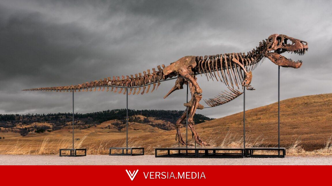Sotheby's big T. rex auction raises concerns hype and wealth are upending science