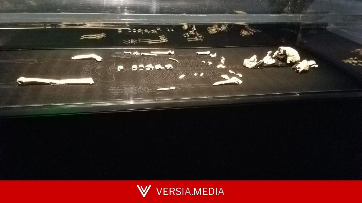 Every Homo naledi we know of is female, and the implications are fascinating