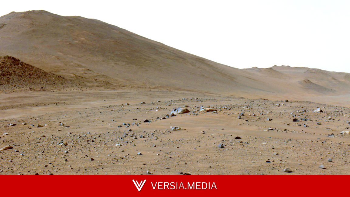 A martian rock has lots of carbon on it, and it's not clear why