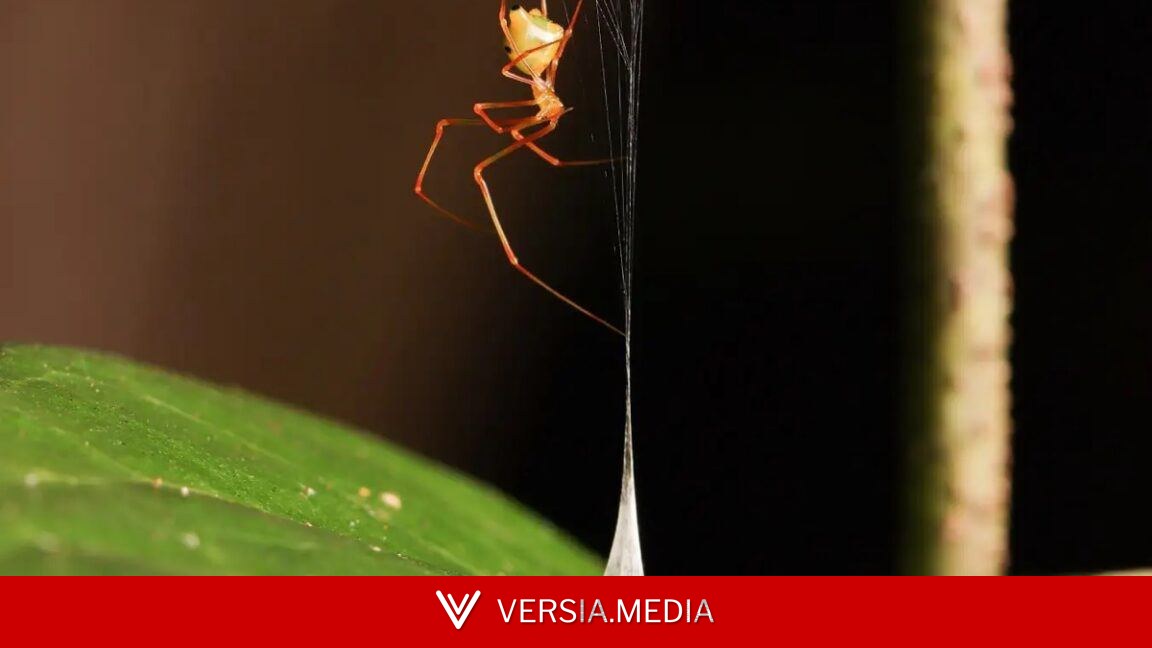 June research roundup: 6 cool science stories we almost missed